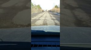 Шарья дорога на завод Кроностар
