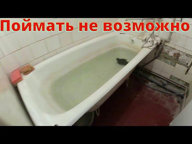 ВЛОГ: Подготовка к Дню Рождения Димы / В квартире тепло и горячая вода))