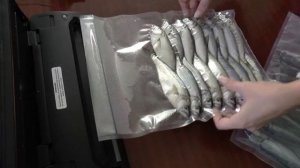 Вакуумизация свежей рыбы. Черноморский луфарь