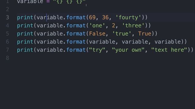 Your First Function [.format()] in Python - Exercise 8