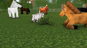 Wolf Life - Minecraft animation