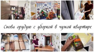 В чужой квартире помогаю делать домашние дела / Мотивация на уборку в квартире