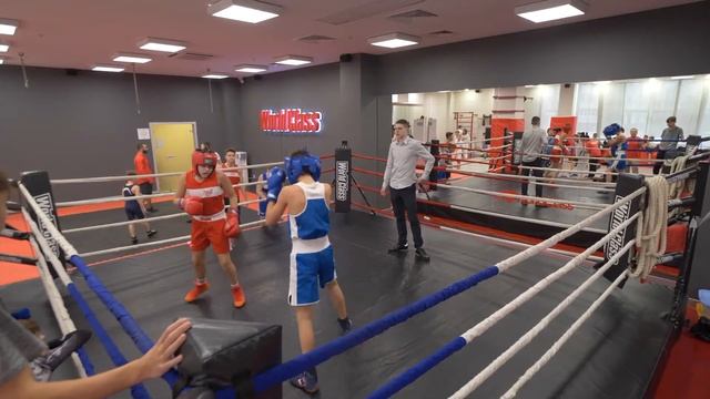 Детские соревнования по боевым искусствам смотреть онлайн