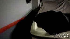 Осмотр катера Байлайнер 175