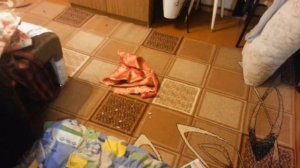 Боксер накосячил