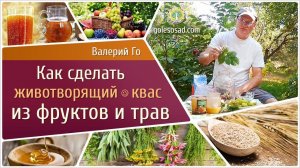КВАС ИЗ ФРУКТОВ И ТРАВ!