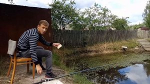 Рыбалка в СОБСТВЕННОМ ПРУДУ. КЛЮЁТ ОДНА ЗА ОДНОЙ. ИТОГИ РОЗЫГРЫША!