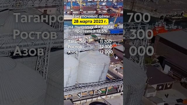 28.03.2023г. Закупочные цены на пшеницу 4 класса (протеин ≥ 12,5%) в портах Азовского и Чёрного моря