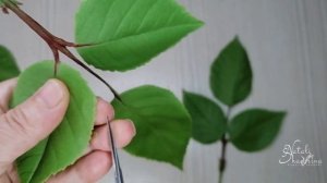 ПРОБЛЕМА? НЕТ! Зубчики на листьях ЛЕГКО! How to make small teeth on the leaves.