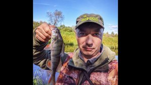 Речка Молва, окунь на отводной поводок