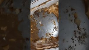 Чёрный обзор водонагревателя Zanussi с сухими тенами и нержавеющим баком!))))