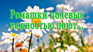Ромашки полевые нежностью поют *  Музыка Виктор Горшков