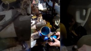 Тосол. Полярный круг.