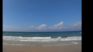 Альфонсина и море