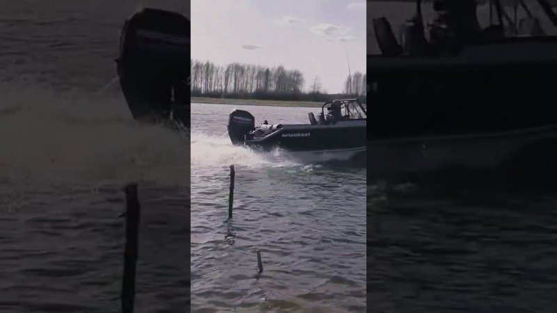 orionboat 46 Fish