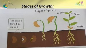 Science class 1 unit#6 | Living & Non-living things | Difference between Livings & non-livings