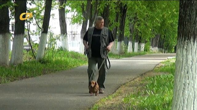 ЗА ВЫГУЛ СОБАК НА ДЕТСКИХ ПЛОЩАДКАХ БУДУТ ШТРАФОВАТЬ смотреть онлайн