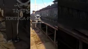 УСПЕШНАЯ ЛОВЛЯ ТОЛСТОЛОБА! ГДЕ ЛОВИТЬ и КАК ПОЙМАТЬ