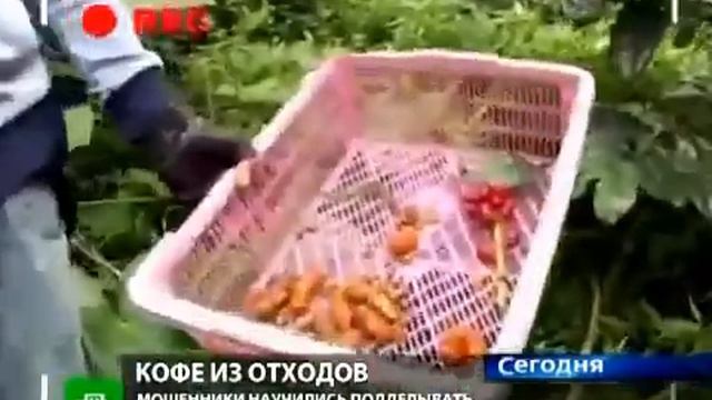 Лучший кофе мира Для гурманов