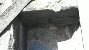 Обычный костер создаст вам запас древесного угля.