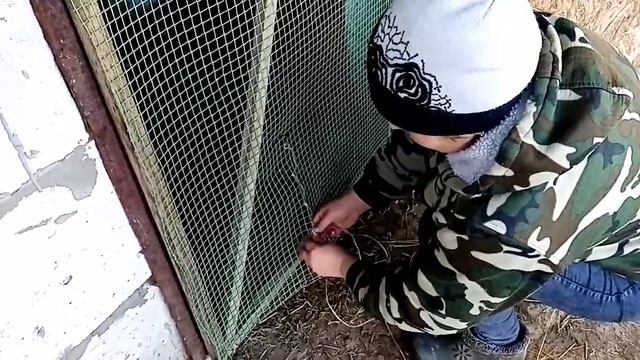 ?Деревенские хлопоты?Телята/Гараж/Дети.