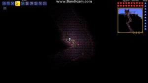 Terraria:где найти водяную стрелу