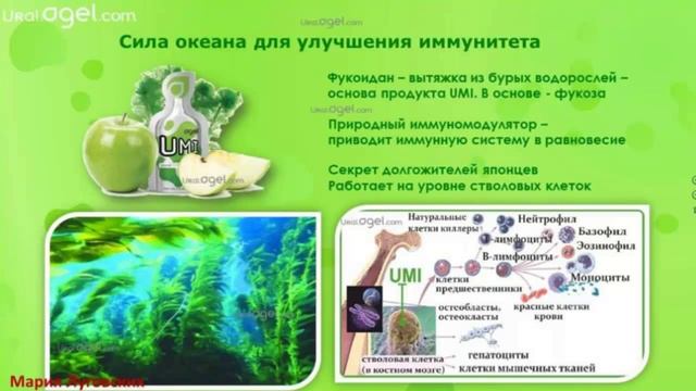 ***Как поднять иммунитет! Мария Луговских*** смотреть онлайн