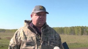 Коневодство в Болтовском хозяйстве. Сузунский район.