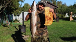 Показываю как приготовить сочные внутри и хрустящие снаружи чебуреки из щуки в казане