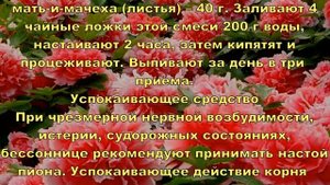 Отвары настои из лепестков пиона сделают вас молодыми