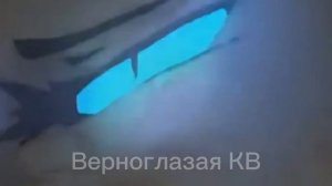 Коты Воители|Бич клип"I Hate Everything About You"