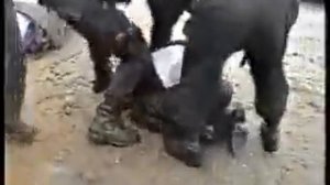 не в то  время не в том месте