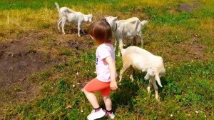 У бабули в деревне 09-10 июля 2022