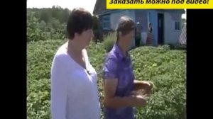 Удобрение мастер