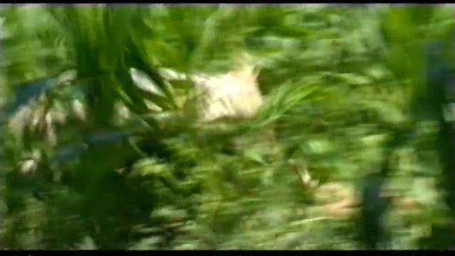 Urgutlik afandilar (o'zbek film) | Ургутли афандилар (узбекфильм) смотреть онлайн