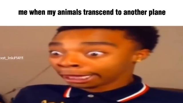 ROBLOX Islands Slander смотреть онлайн