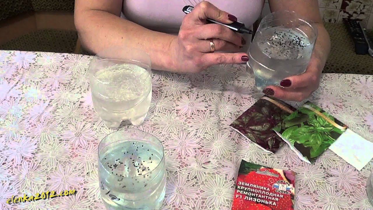 Сеем Семена на Рассаду в Гидрогеле смотреть онлайн