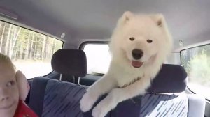 Самодельный Дом на колесах