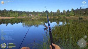 🔴Трофейные Караси Комариное. Гайд для новичков. Быстрый фарм серебра. Русская рыбалка 4, рр4.