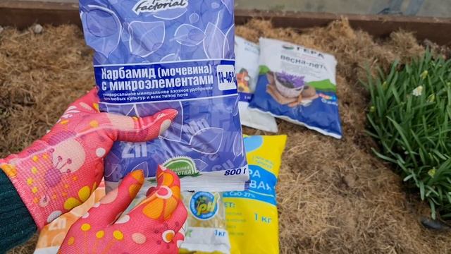 ВАЖНЫЕ весенние подкормки. Чем кормить САД и ОГОРОД ВЕСНОЙ