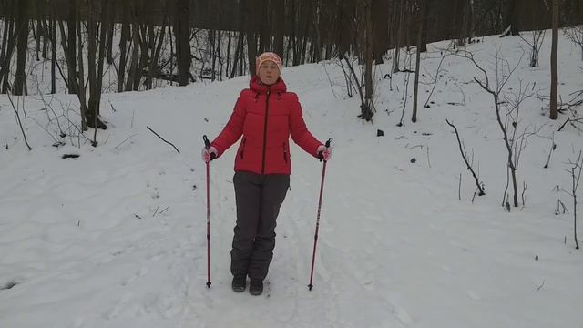 Скандинавская (Северная) ходьба. Развитие гибкости и координации. смотреть онлайн