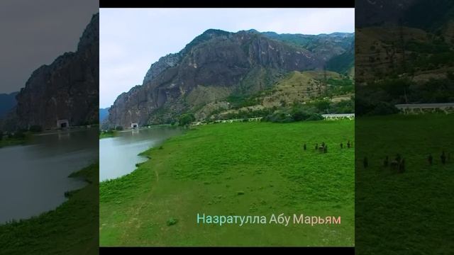 Как БЛАГОДАРИТЬ АЛЛАХА? смотреть онлайн