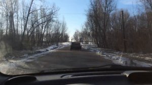 Сдача свиней! Цена на живой вес! Свиноводство!