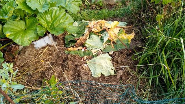 Tour du jardin mois par mois 5 août 2021 смотреть онлайн