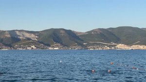 Панорама порта Новороссийск с пляжа Кристалл – 18 августа 2024 г.