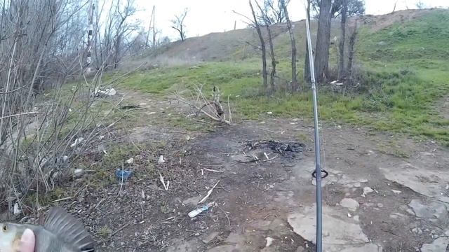 стритфишинг и микроджиг