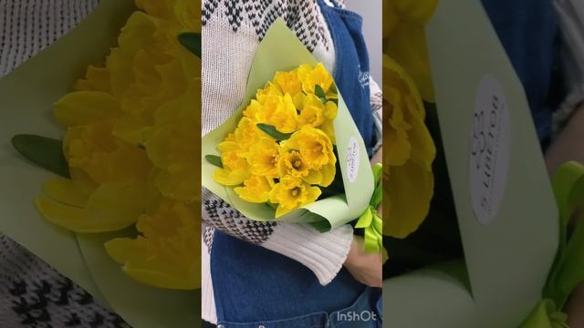 Букет из 15 желтых нарциссов
