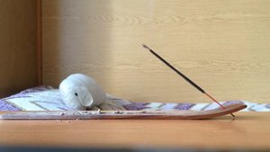 Ароматические палочки (благовония)