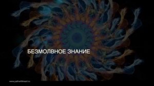 Онлайн курс Самодисциплина воина Участники рассказывают о курсе.