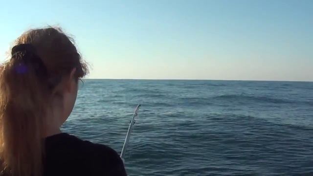 Смотреть Катушка Abu Garcia Ambassadeur 5601 C4 - Катушки Для Морской Рыбалки Купить